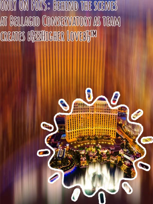 The bellagio news